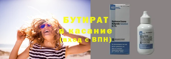 хмурый Аркадак