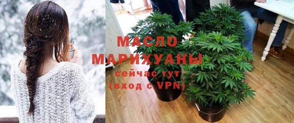 хмурый Аркадак