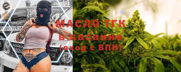 хмурый Аркадак