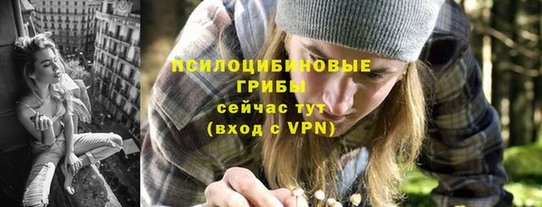 хмурый Аркадак