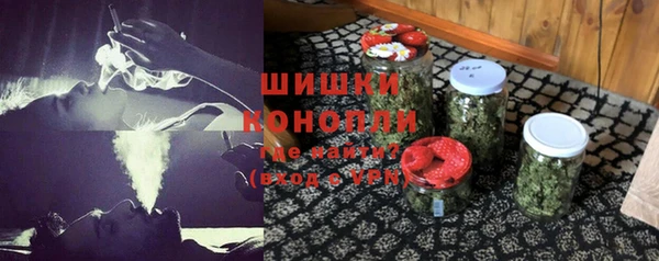 хмурый Аркадак